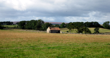 Field Barn, Upland Gritstone Fringe