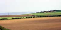 Arable farmland, Coastal Plateau