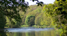 Cocken Wood over looking the River Wear