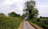 Country-Road, Langton