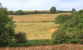 Farmland, Cassop © Copyright Mick Garratt. Licensed for reuse under a Creative Commons Licence (see Legal Information)