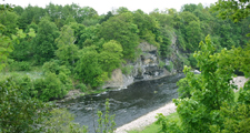 Tree lined River Tees, Howbury Scar © Copyright Uncredited. Licensed for reuse under a Creative Commons Licence (see Legal Information)