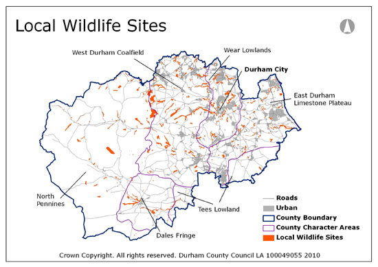 Local Wildlife Sites