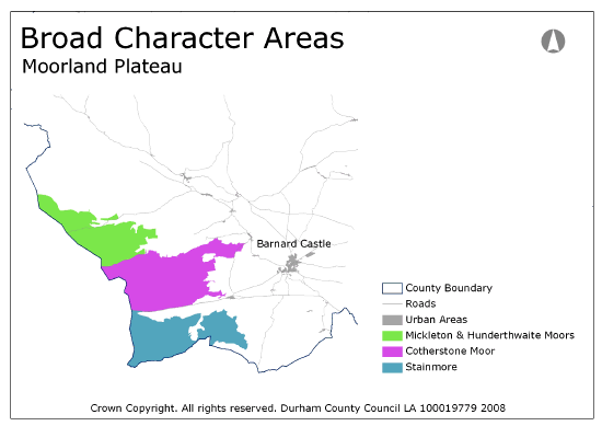 Broad Character Areas - Moorland Plateau