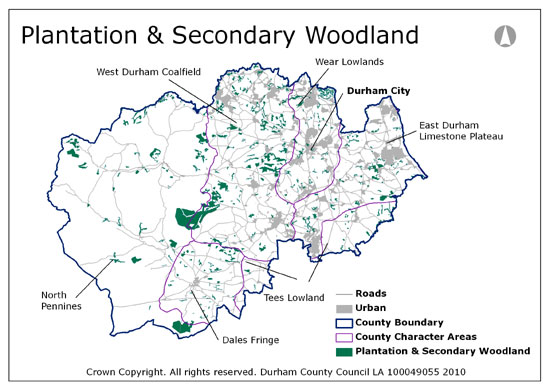 Plantation and Secondary Woodland Map