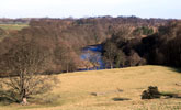 Narrow riparian woods © Copyright Mick Garrett. Licensed for reuse under a Creative Commons Licence (see Legal Information)