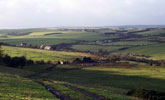 Upper Headly Hope Valley