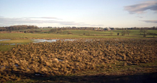Wet pasture, Preston Carrs © Copyright Stanley Howe. Licensed for reuse under a Creative Commons Licence (see Legal Information)