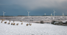Wind Turbines, Headleyhope Fell - Copyright Rebecca Beeston