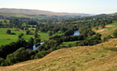 Lower teesdale Valley - Copyright Rebecca Beeston