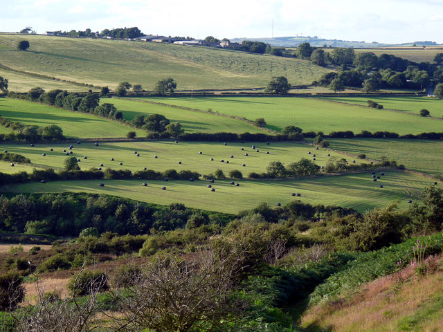 Cowsley - West Durham Coalfield, Coalfield Valley. Copyright Ian Porter