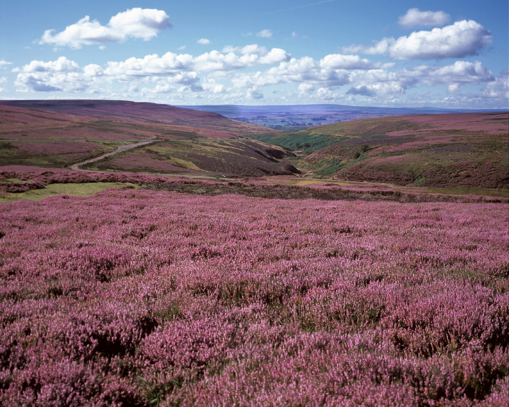 Eggleston Moor - North Pennines, Moorland Ridges and Summits