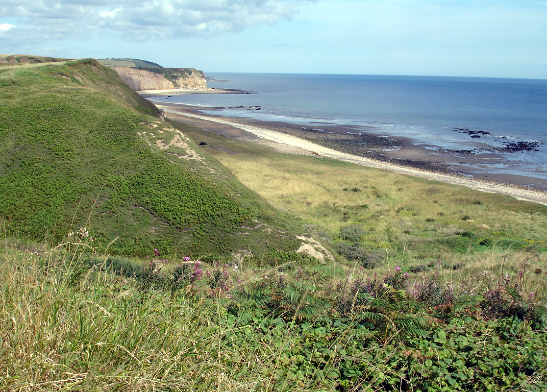 Horden Dene - East Durham Plateau, Limestone Coast