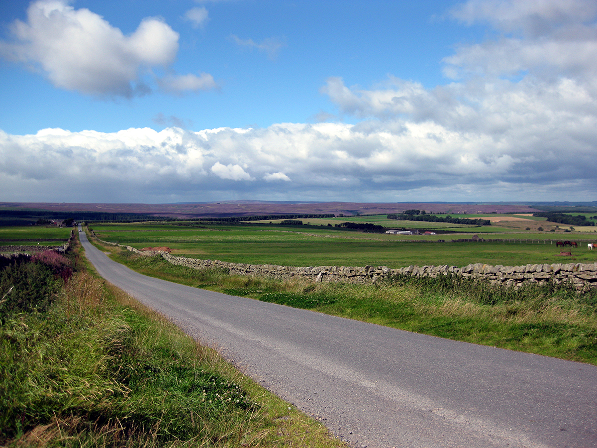 Linburn Head - West Durham Coalfield, Coalfield Upland fringe