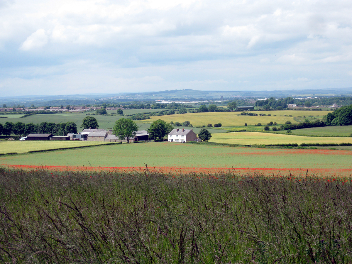 Littletown Farm - Wear Lowlands, Lowland Valley Terraces